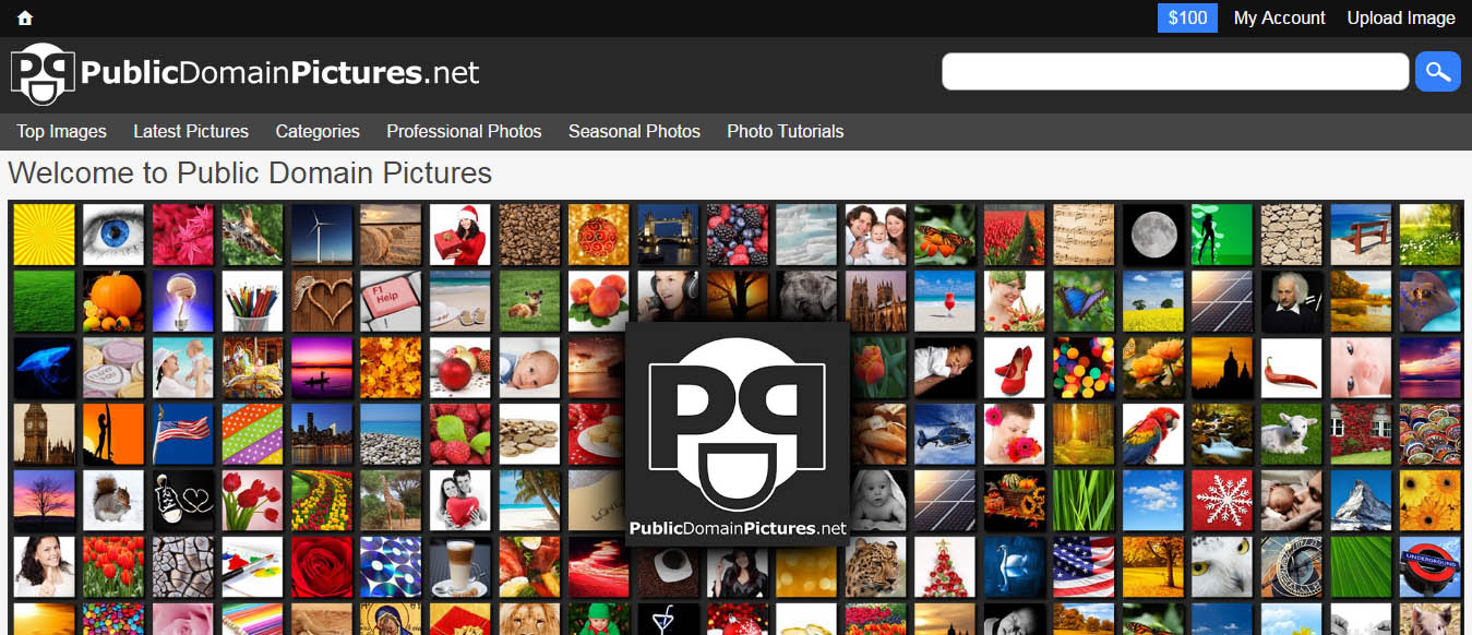 Public Domain Pictures Free Stock Photos